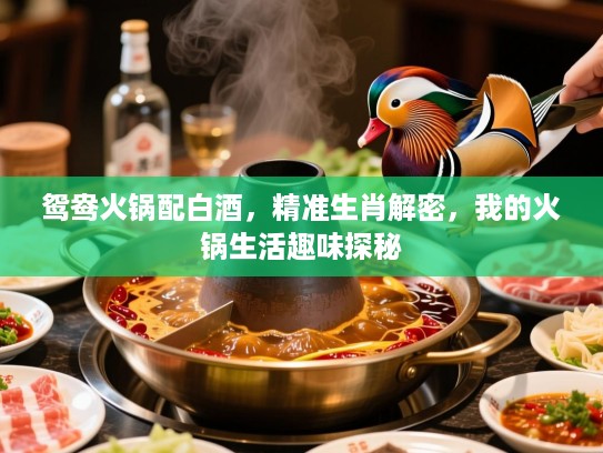 鸳鸯火锅配白酒，精准生肖解密，我的火锅生活趣味探秘