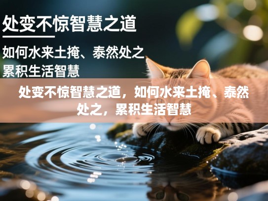 处变不惊智慧之道，如何水来土掩、泰然处之，累积生活智慧