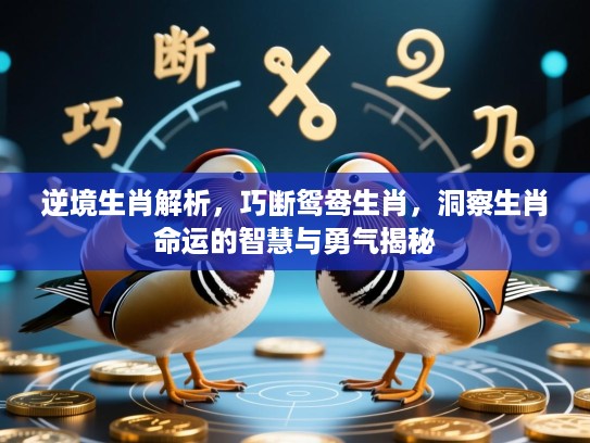 逆境生肖解析，巧断鸳鸯生肖，洞察生肖命运的智慧与勇气揭秘