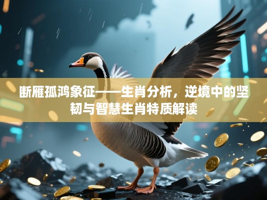 断雁孤鸿象征——生肖分析，逆境中的坚韧与智慧生肖特质解读