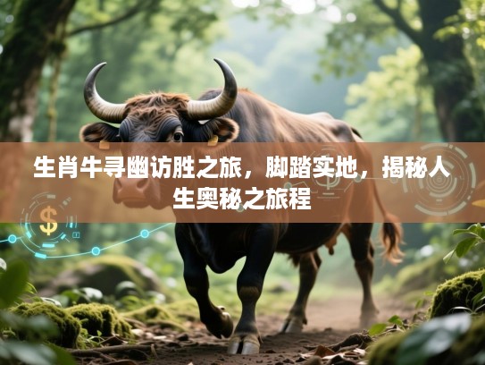 生肖牛寻幽访胜之旅,脚踏实地,揭秘人生奥秘之旅程 生肖牛寻幽访胜之旅,脚踏实地,揭秘人生奥秘之旅程