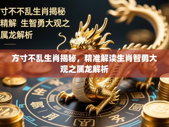 方寸不乱生肖揭秘，精准解读生肖智勇大观之属龙解析