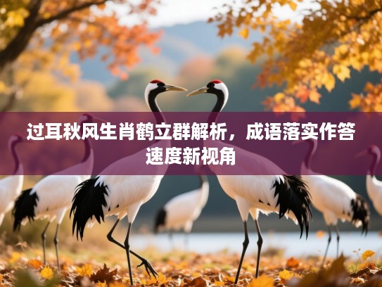 过耳秋风生肖鹤立群解析,成语落实作答速度新视角 过耳秋风生肖鹤立群解析,成语落实作答速度新视角