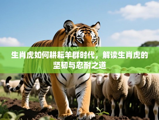 生肖虎如何耕耘羊群时代,解读生肖虎的坚韧与忍耐之道 生肖虎如何耕耘羊群时代,解读生肖虎的坚韧与忍耐之道