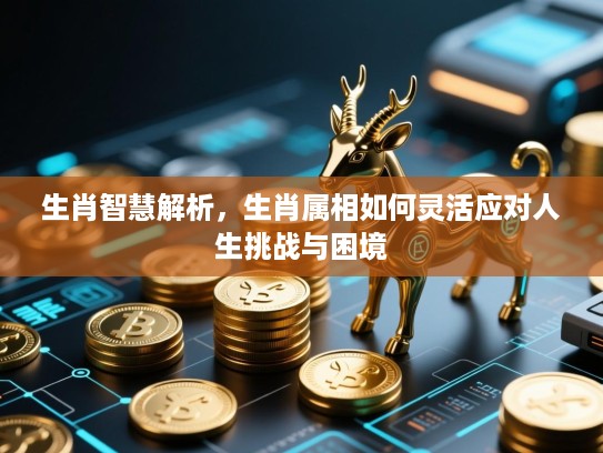 生肖智慧解析,生肖属相如何灵活应对人生挑战与困境 生肖智慧解析,生肖属相如何灵活应对人生挑战与困境