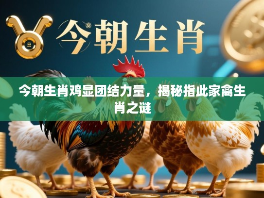 今朝生肖鸡显团结力量,揭秘指此家禽生肖之谜 今朝生肖鸡显团结力量,揭秘指此家禽生肖之谜