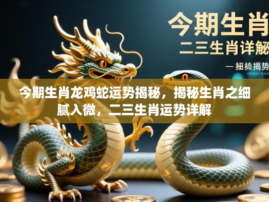 今期生肖龙鸡蛇运势揭秘，揭秘生肖之细腻入微，二三生肖运势详解