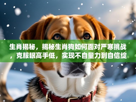 生肖揭秘，揭秘生肖狗如何面对严寒挑战，克服眼高手低，实现不自量力到自信绽放的蜕变