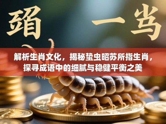 解析生肖文化，揭秘蛰虫昭苏所指生肖，探寻成语中的细腻与稳健平衡之美