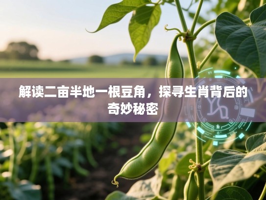 解读二亩半地一根豆角,探寻生肖背后的奇妙秘密 解读二亩半地一根豆角,探寻生肖背后的奇妙秘密
