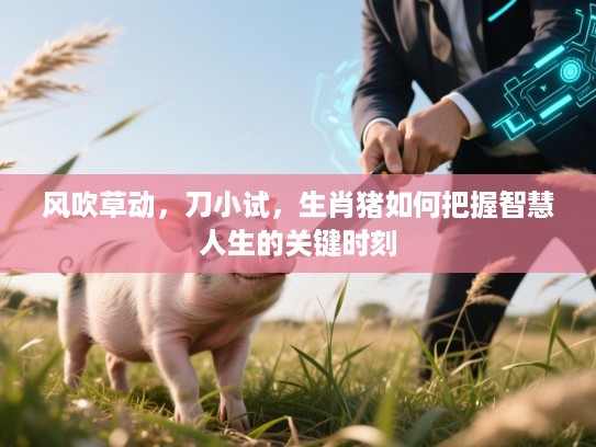 风吹草动，刀小试，生肖猪如何把握智慧人生的关键时刻