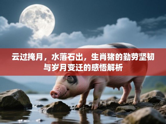 云过掩月,水落石出,生肖猪的勤劳坚韧与岁月变迁的感悟解析 云过掩月,水落石出,生肖猪的勤劳坚韧与岁月变迁的感悟解析