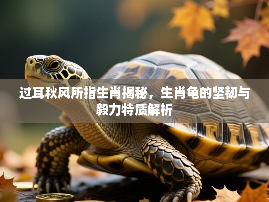 过耳秋风所指生肖揭秘,生肖龟的坚韧与毅力特质解析 过耳秋风所指生肖揭秘,生肖龟的坚韧与毅力特质解析