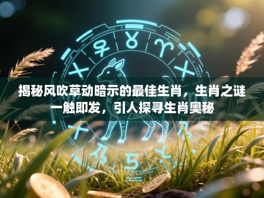 揭秘风吹草动暗示的最佳生肖,生肖之谜一触即发,引人探寻生肖奥秘 揭秘风吹草动暗示的最佳生肖,生肖之谜一触即发,引人探寻生肖奥秘