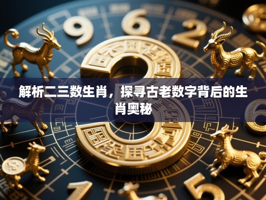 解析二三数生肖，探寻古老数字背后的生肖奥秘