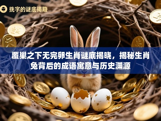 覆巢之下无完卵生肖谜底揭晓，揭秘生肖兔背后的成语寓意与历史渊源