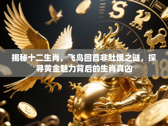 揭秘十二生肖，飞鸟回首非肚饿之谜，探寻黄金魅力背后的生肖真凶