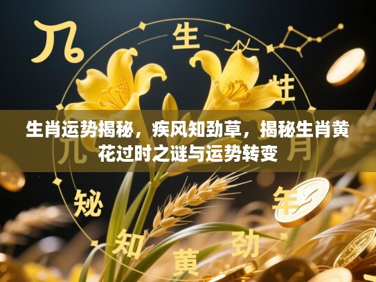 生肖运势揭秘，疾风知劲草，揭秘生肖黄花过时之谜与运势转变