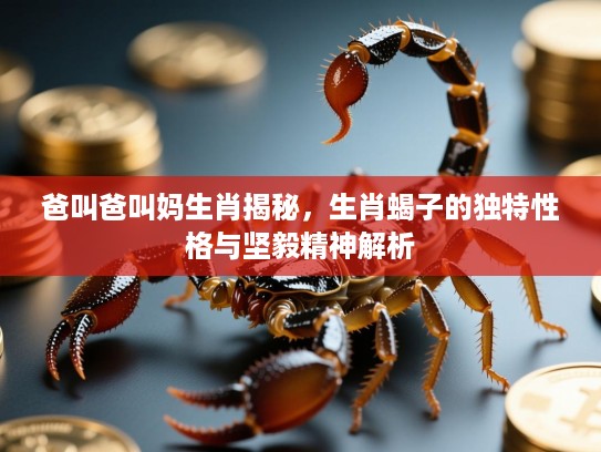 爸叫爸叫妈生肖揭秘，生肖蝎子的独特性格与坚毅精神解析