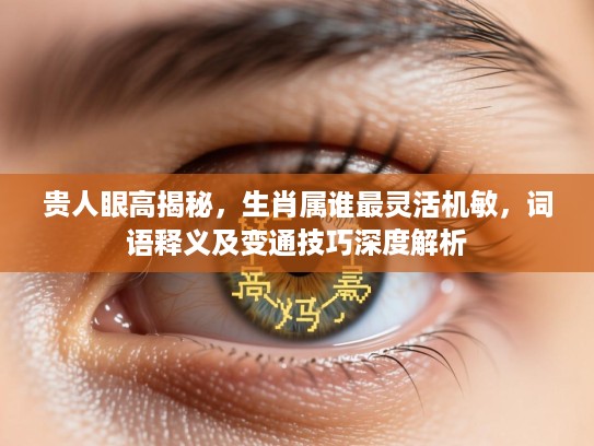 贵人眼高揭秘,生肖属谁最灵活机敏,词语释义及变通技巧深度解析 贵人眼高揭秘,生肖属谁最灵活机敏,词语释义及变通技巧深度解析