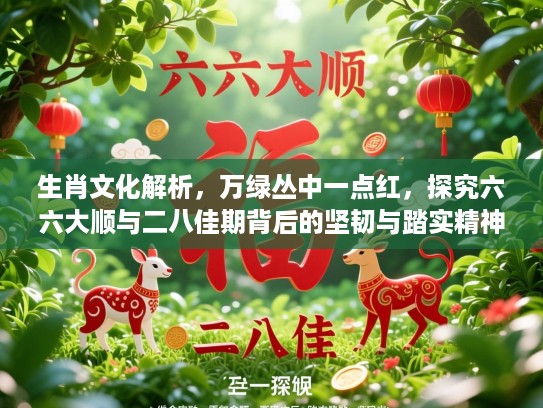 生肖文化解析，万绿丛中一点红，探究六六大顺与二八佳期背后的坚韧与踏实精神