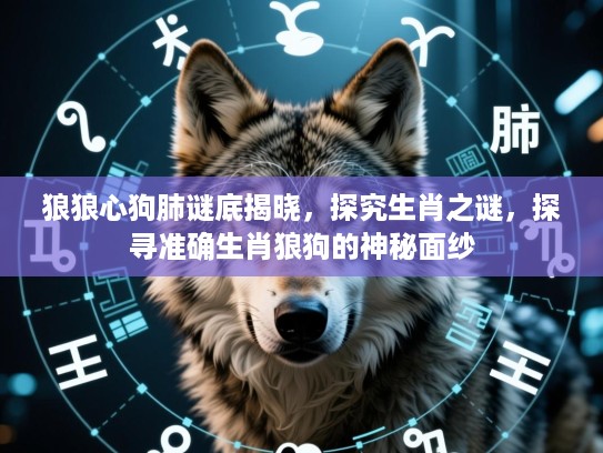 狼狼心狗肺谜底揭晓，探究生肖之谜，探寻准确生肖狼狗的神秘面纱