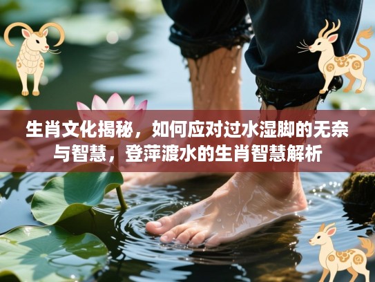 生肖文化揭秘，如何应对过水湿脚的无奈与智慧，登萍渡水的生肖智慧解析