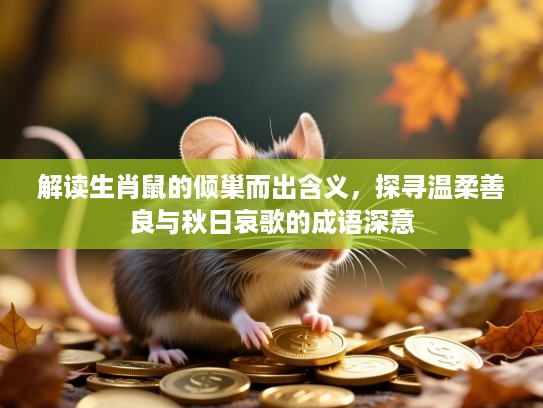 解读生肖鼠的倾巢而出含义,探寻温柔善良与秋日哀歌的成语深意 解读生肖鼠的倾巢而出含义,探寻温柔善良与秋日哀歌的成语深意