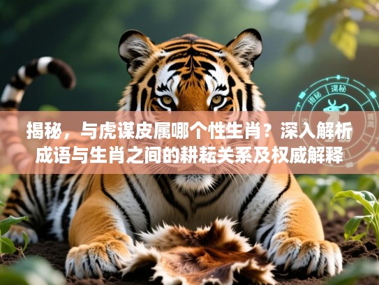 揭秘，与虎谋皮属哪个性生肖？深入解析成语与生肖之间的耕耘关系及权威解释