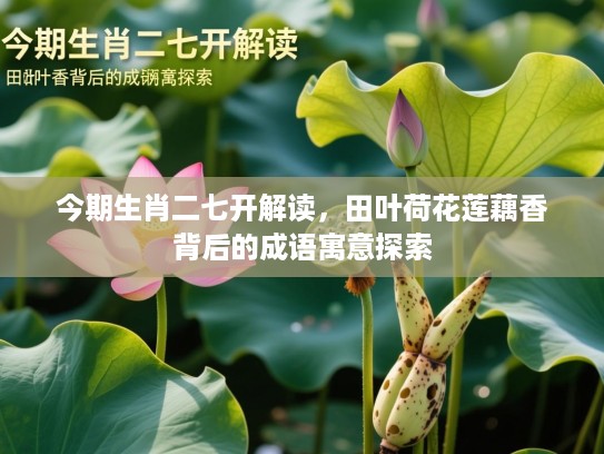 今期生肖二七开解读，田叶荷花莲藕香背后的成语寓意探索