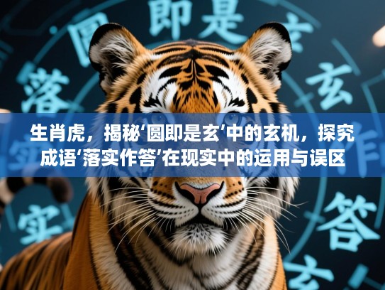 生肖虎，揭秘‘圆即是玄’中的玄机，探究成语‘落实作答’在现实中的运用与误区