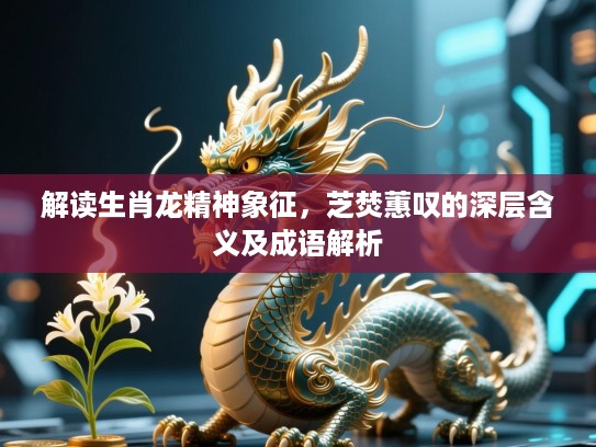 解读生肖龙精神象征，芝焚蕙叹的深层含义及成语解析