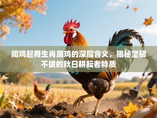 闻鸡起舞生肖属鸡的深层含义，揭秘坚韧不拔的秋日耕耘者特质