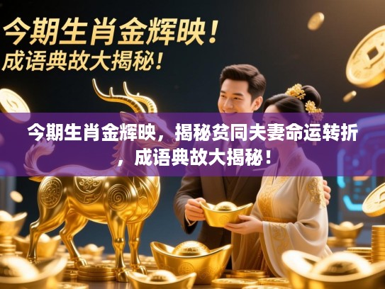 今期生肖金辉映，揭秘贫同夫妻命运转折，成语典故大揭秘！