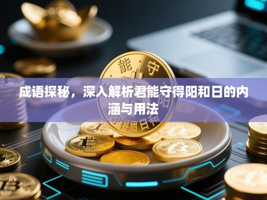 成语探秘，深入解析君能守得阳和日的内涵与用法