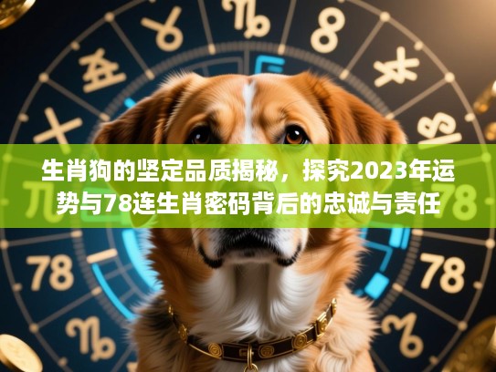 生肖狗的坚定品质揭秘，探究2023年运势与78连生肖密码背后的忠诚与责任