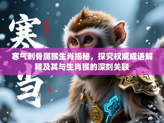 寒气刺骨属猴生肖揭秘，探究权威成语解释及其与生肖猴的深刻关联