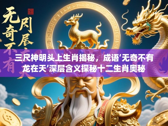 三尺神明头上生肖揭秘，成语‘无奇不有龙在天’深层含义探秘十二生肖奥秘
