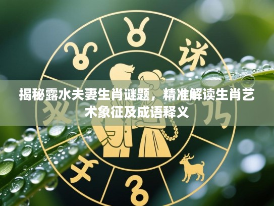揭秘露水夫妻生肖谜题，精准解读生肖艺术象征及成语释义