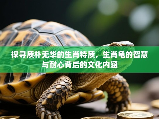 探寻质朴无华的生肖特质，生肖龟的智慧与耐心背后的文化内涵
