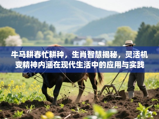 牛马耕春忙耕种，生肖智慧揭秘，灵活机变精神内涵在现代生活中的应用与实践