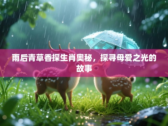 雨后青草香探生肖奥秘，探寻母爱之光的故事