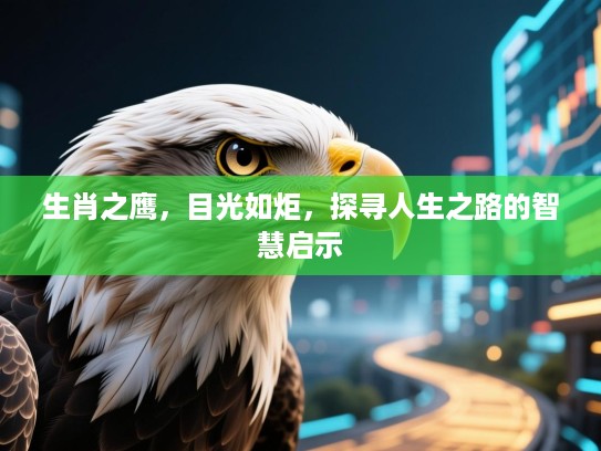 生肖之鹰，目光如炬，探寻人生之路的智慧启示