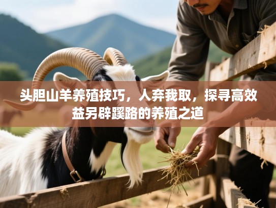 头胆山羊养殖技巧，人弃我取，探寻高效益另辟蹊路的养殖之道