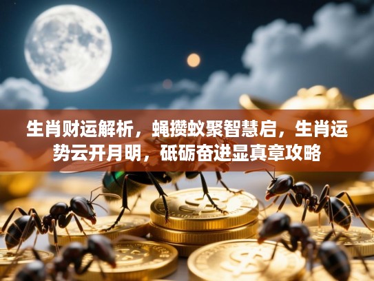 生肖财运解析，蝇攒蚁聚智慧启，生肖运势云开月明，砥砺奋进显真章攻略