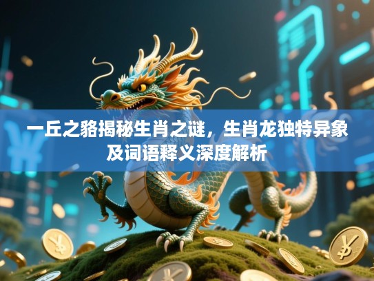 一丘之貉揭秘生肖之谜，生肖龙独特异象及词语释义深度解析