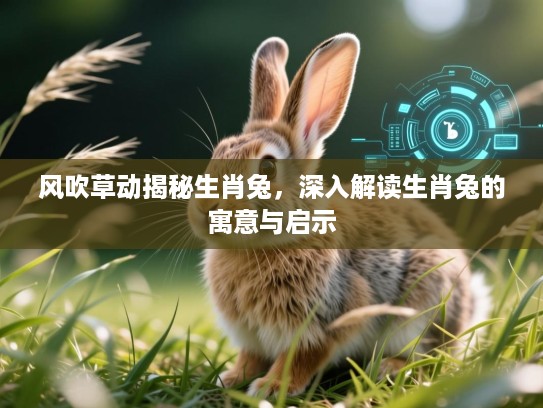 风吹草动揭秘生肖兔，深入解读生肖兔的寓意与启示