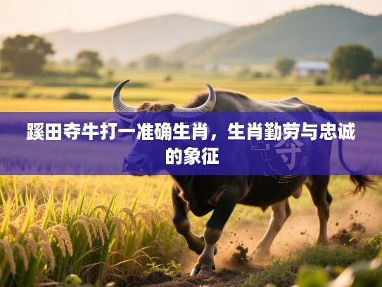 蹊田夺牛打一准确生肖，生肖勤劳与忠诚的象征