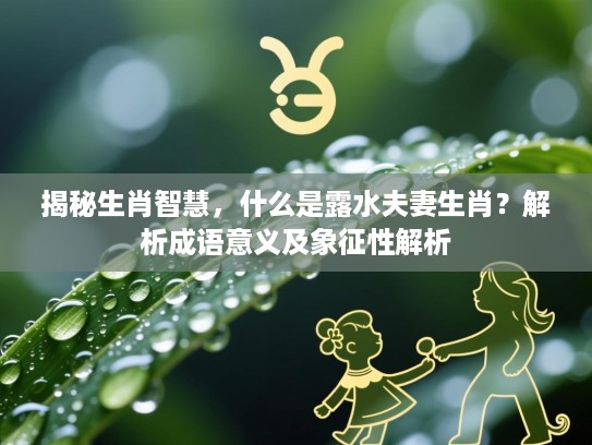 揭秘生肖智慧，什么是露水夫妻生肖？解析成语意义及象征性解析