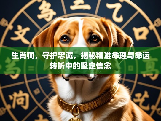 生肖狗，守护忠诚，揭秘精准命理与命运转折中的坚定信念